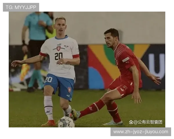 捷克球员在英超赛场的整体表现分析